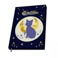 Ilustracja Notatnik A5 Premium Czarodziejka z Księżyca - Luna & Artemis