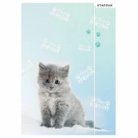 3. Starpak Teczka z Gumką Kotek Niebieskie Pastele 398149