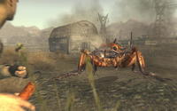 5. Fallout New Vegas (PC) ANG DIGITAL (klucz STEAM)