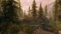 5. The Elder Scrolls V: Skyrim Special Edition (PC) DIGITAL (klucz STEAM)