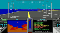 2. F-19 Stealth Fighter (PC) (klucz STEAM)