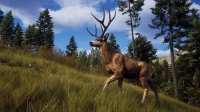 5. Way of the Hunter elite Edition PL (PC) (klucz STEAM)