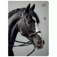 4. Interdruk Zeszyt A5 32 kartek kratka UV Wild Horses 366573