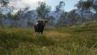 5. theHunter: Call of the Wild™ - Emerald Coast Australia (DLC) (PC) (klucz STEAM)