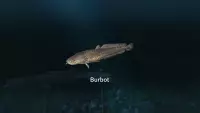 7. Ultimate Fishing Simulator - New Fish Species PL (DLC) (PC) (klucz STEAM)