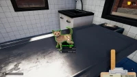 9. Animal Shelter - Puppies & Kittens PL (DLC) (PC) (klucz STEAM)