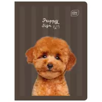 4. Interdruk Zeszyt A5 16 kartek kolorowa 3linia UV Puppy Sign 348272