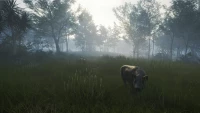 7. theHunter: Call of the Wild™ - Te Awaroa National Park PL (DLC) (PC) (klucz STEAM)