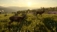 3. theHunter: Call of the Wild™ - Cuatro Colinas Game Reserve PL (DLC) (PC) (klucz STEAM)