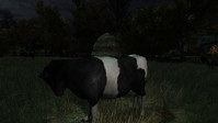 5. The Cows Are Watching (PC) DIGITAL (klucz STEAM)