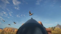 3. theHunter: Call of the Wild™ - Duck and Cover Pack PL (DLC) (PC) (klucz STEAM)