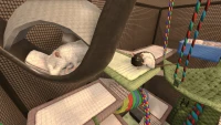 4. House Flipper: Pets PL (DLC) (PC) (klucz STEAM)