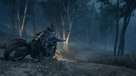 3. Days Gone PL (PC) (klucz STEAM)