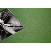 4. Hama Album Fine ART 24X17/50 Zielony Czarne Kartki