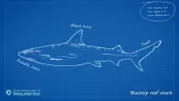 9. Ultimate Fishing Simulator - Thailand PL (DLC) (PC) (klucz STEAM)