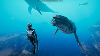 4. Beyond Blue (PC) (klucz STEAM)