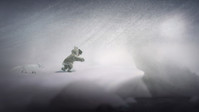 2. Never Alone Arctic Collection (PC/MAC/LX) PL DIGITAL (klucz STEAM)