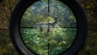 11. theHunter: Call of the Wild PL (PC) (klucz STEAM)