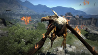 16. Dragon's Dogma: Dark Arisen (PC) (klucz STEAM)