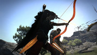 14. Dragon's Dogma: Dark Arisen (PC) (klucz STEAM)