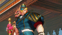 10. Street Fighter V: Champion Edition PL (PC) (klucz STEAM)