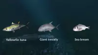 5. Ultimate Fishing Simulator - New Fish Species PL (DLC) (PC) (klucz STEAM)