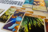 5. Spirit Island