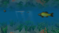 7. European Fishing (PC) DIGITAL (klucz STEAM)
