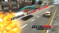 8. Crash and Burn Racing (PC) DIGITAL (klucz STEAM)