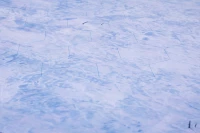 4. Frostpunk: Neoprenowa Mata 750x650 mm
