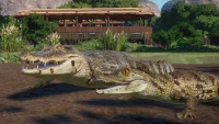 8. Planet Zoo: Wetlands Animal Pack PL (DLC) (PC) (klucz STEAM)