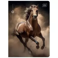 2. Interdruk Zeszyt A5 16 kartek kratka UV Wild Horses 366320
