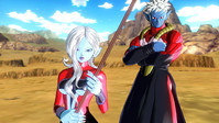 5. Dragon Ball: Xenoverse PL (PC) (klucz STEAM)