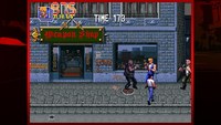 2. Double Dragon Trilogy (PC) DIGITAL (klucz STEAM)