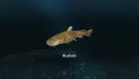 6. Ultimate Fishing Simulator - New Fish Species PL (DLC) (PC) (klucz STEAM)