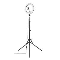24. Hama Lampa Pierścieniowa na Statywie