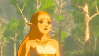 1. Zelda: Breath of the Wild Expansion Pass (WiiU Digital)