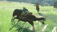 3. Zelda: Breath of the Wild Expansion Pass (WiiU Digital)