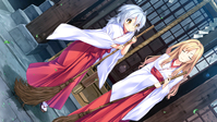 4. Wild Romance (PC) DIGITAL (klucz STEAM)