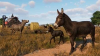 7. Planet Zoo: Barnyard Animal Pack PL (DLC) (PC) (klucz STEAM)