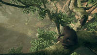 2. Ancestors: The Humankind Odyssey PL (PC) (klucz STEAM)