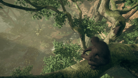 2. Ancestors: The Humankind Odyssey (PC) (klucz STEAM)