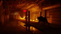 5. Stray PL (PS4)