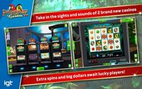 4. IGT Slots Paradise Garden (PC) DIGITAL (klucz STEAM)