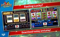 5. IGT Slots Paradise Garden (PC) DIGITAL (klucz STEAM)
