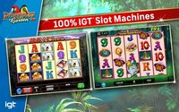 1. IGT Slots Paradise Garden (PC) DIGITAL (klucz STEAM)