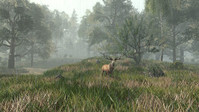 4. Life is Feudal: Forest Village PL (klucz STEAM)