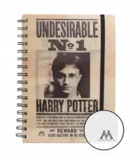 2. Notatnik 3D Harry Potter (SIRIUS & HARRY)
