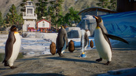 9. Planet Zoo: Aquatic Pack PL (DLC) (PC) (klucz STEAM)