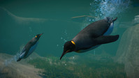 7. Planet Zoo: Aquatic Pack PL (DLC) (PC) (klucz STEAM)